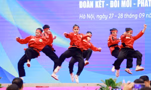 Khai mạc Đại hội đại biểu Liên đoàn Võ thuật Cổ truyền Việt Nam 