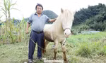 Lên 'cổng trời' Mường Lống tìm dấu vó ngựa xưa