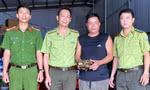 Rùa núi vàng 2kg bò vào vườn nhà dân