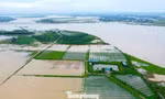 Bị bão quét sạch hoa màu, cả hợp tác xã trắng tay