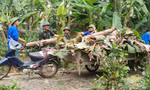 Sinh viên tình nguyện hỗ trợ người dân khắc phục hậu quả mưa bão