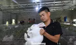 Chàng trai 9x và quyết định đi ngược số đông sau hơn 10 năm xa quê