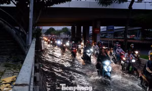 Nhiều trường ở TPHCM cho học sinh nghỉ sớm tránh bão số 13 và triều cường
