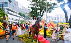 Khám phá đường hoa 'khu nhà giàu' ở TPHCM