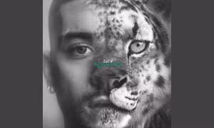 Sau Jisoo BLACKPINK, Zayn Malik sẽ "bắt tay" với một nhóm nữ K-Pop đình đám?