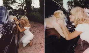 Tinh tế như Sabrina Carpenter: Dành tặng fan món quà bất ngờ dịp lễ Giáng sinh