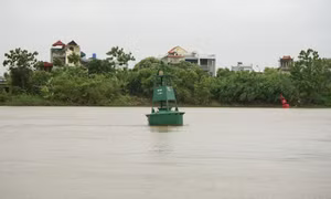 Mực nước sông Trà Lý, sông Hồng dâng cao từng giờ, người dân Hưng Yên đắp bờ chống ngập