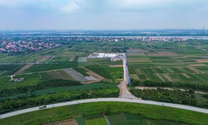 Hưng Yên 'chốt' tiến độ GPMB dự án sân golf 1,5 tỷ USD