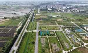 Hà Nội điểm tên 300 dự án chậm triển khai, xem xét thu hồi