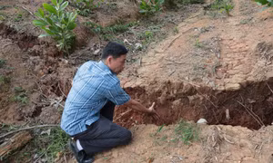 Sạt lở sau mưa lớn ở Thái Nguyên, nhiều hộ dân phải di dời