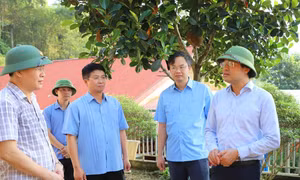 Kiểm tra trường học sau bão, Bí thư Thái Nguyên yêu cầu di chuyển vị trí, xây trường mới