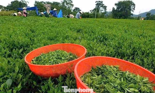 Doanh nghiệp nhỏ cần vốn rẻ nhưng trước hết phải vay được vốn