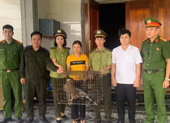 Động vật 'lạ' xuất hiện trong khu dân cư