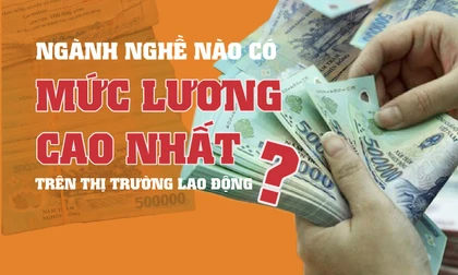 Ngành nghề nào lương cao nhất hiện nay?