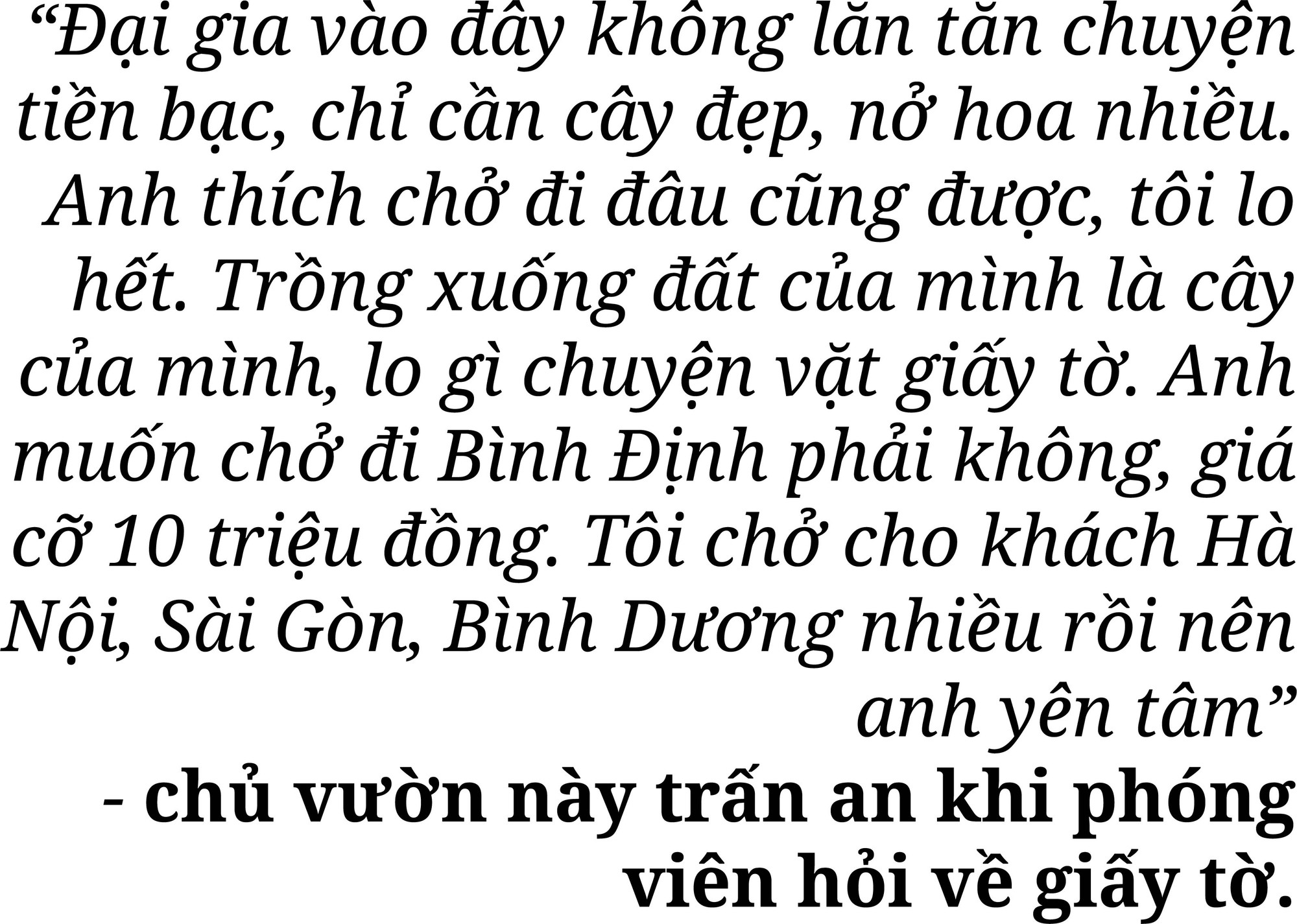 Rừng bị thảm sát, gỗ lậu về đâu? ảnh 6