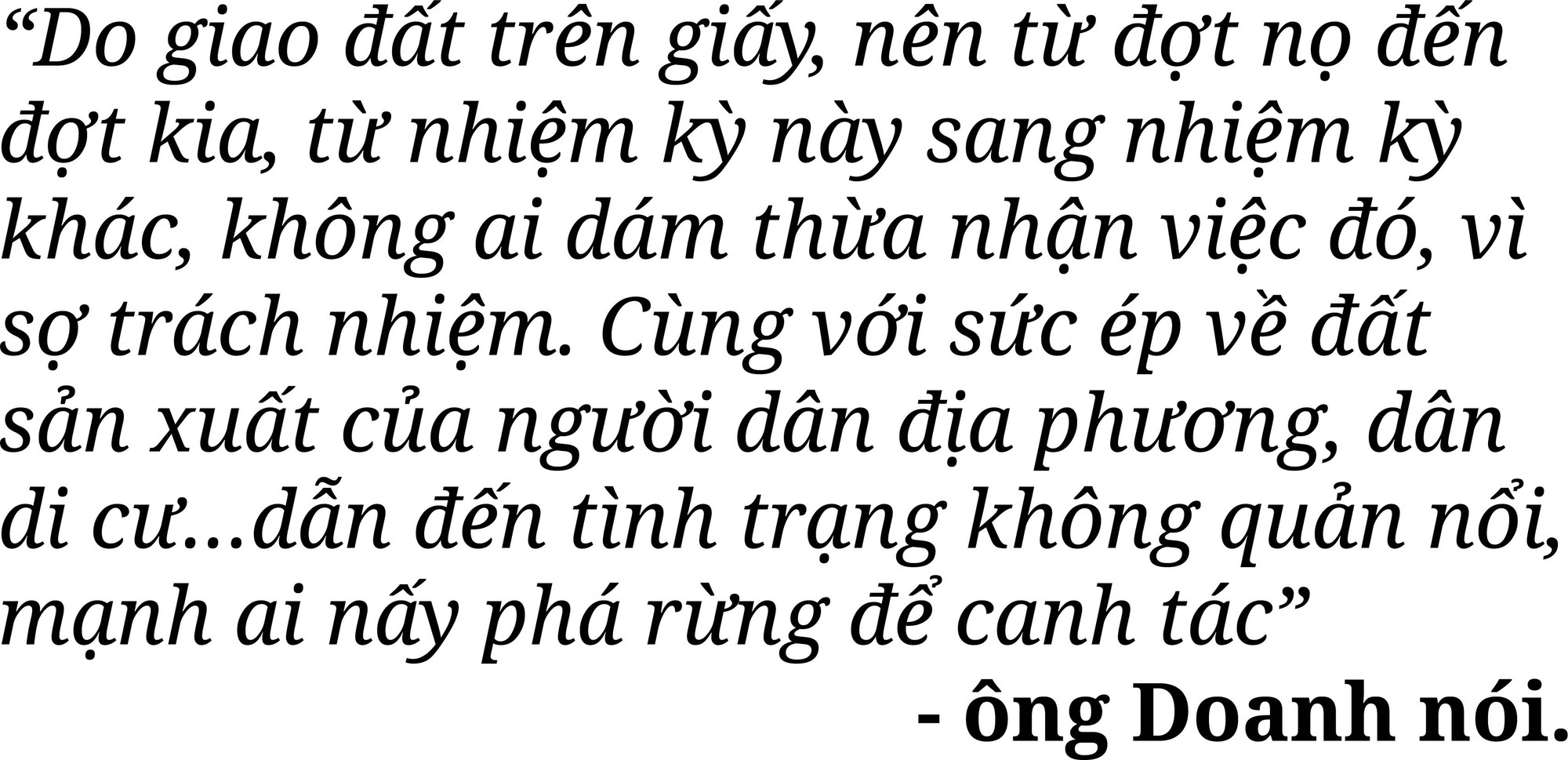 Rừng bị thảm sát, gỗ lậu về đâu? ảnh 9