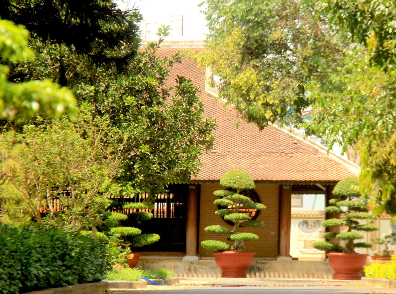 Rừng bị thảm sát, gỗ lậu về đâu? ảnh 2