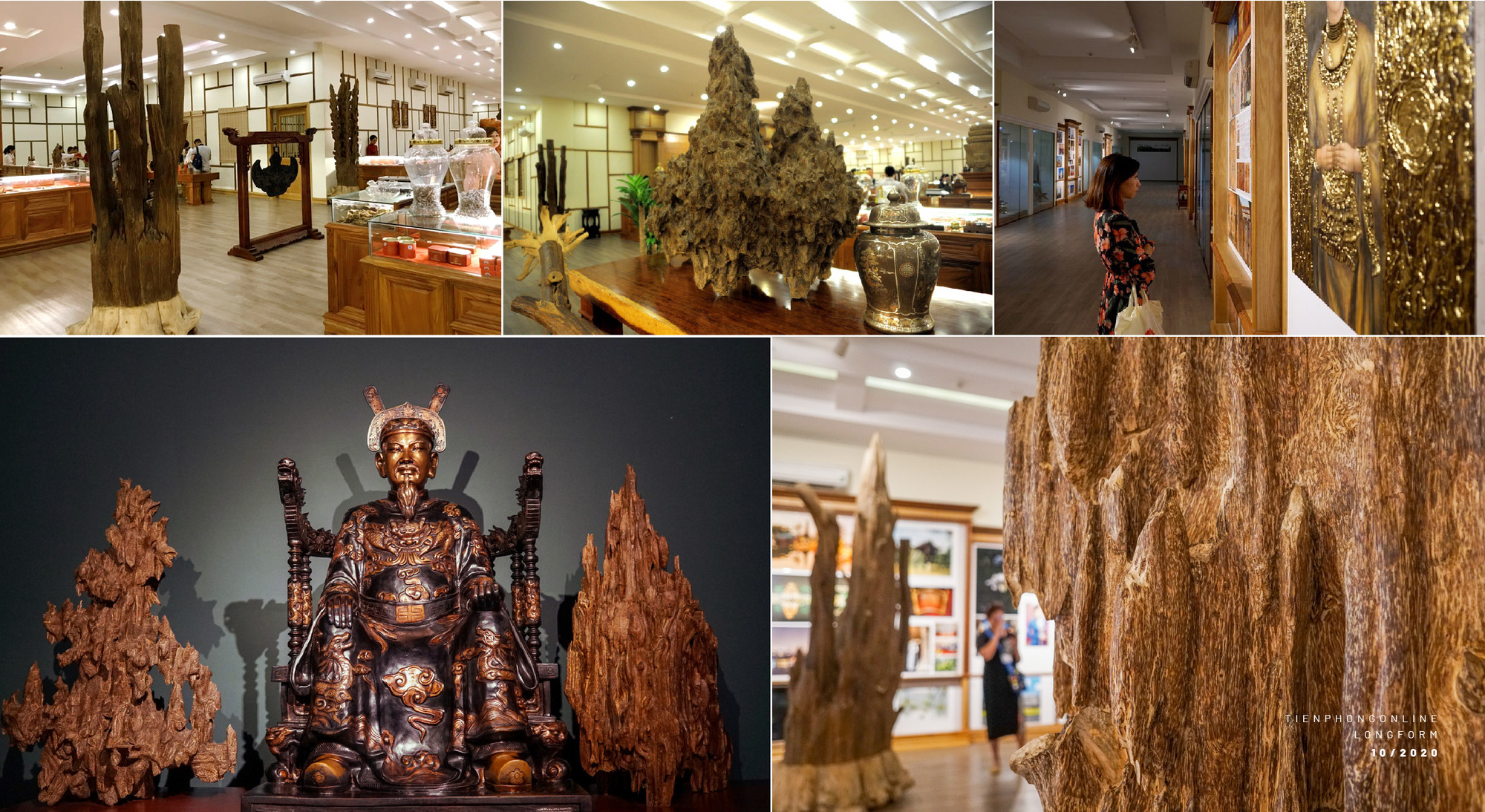 Chủ tịch Trầm hương Khánh Hòa, người cam kết đồng hành lâu dài cùng Tài năng trẻ Việt Nam ảnh 9