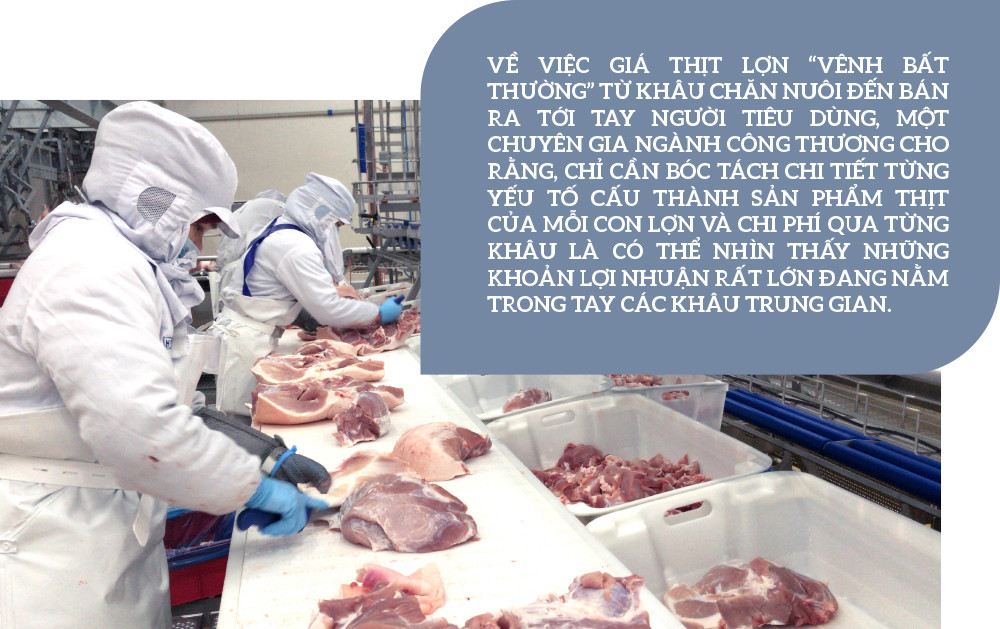 Giá lợn neo cao, ai đang hưởng lợi? ảnh 7