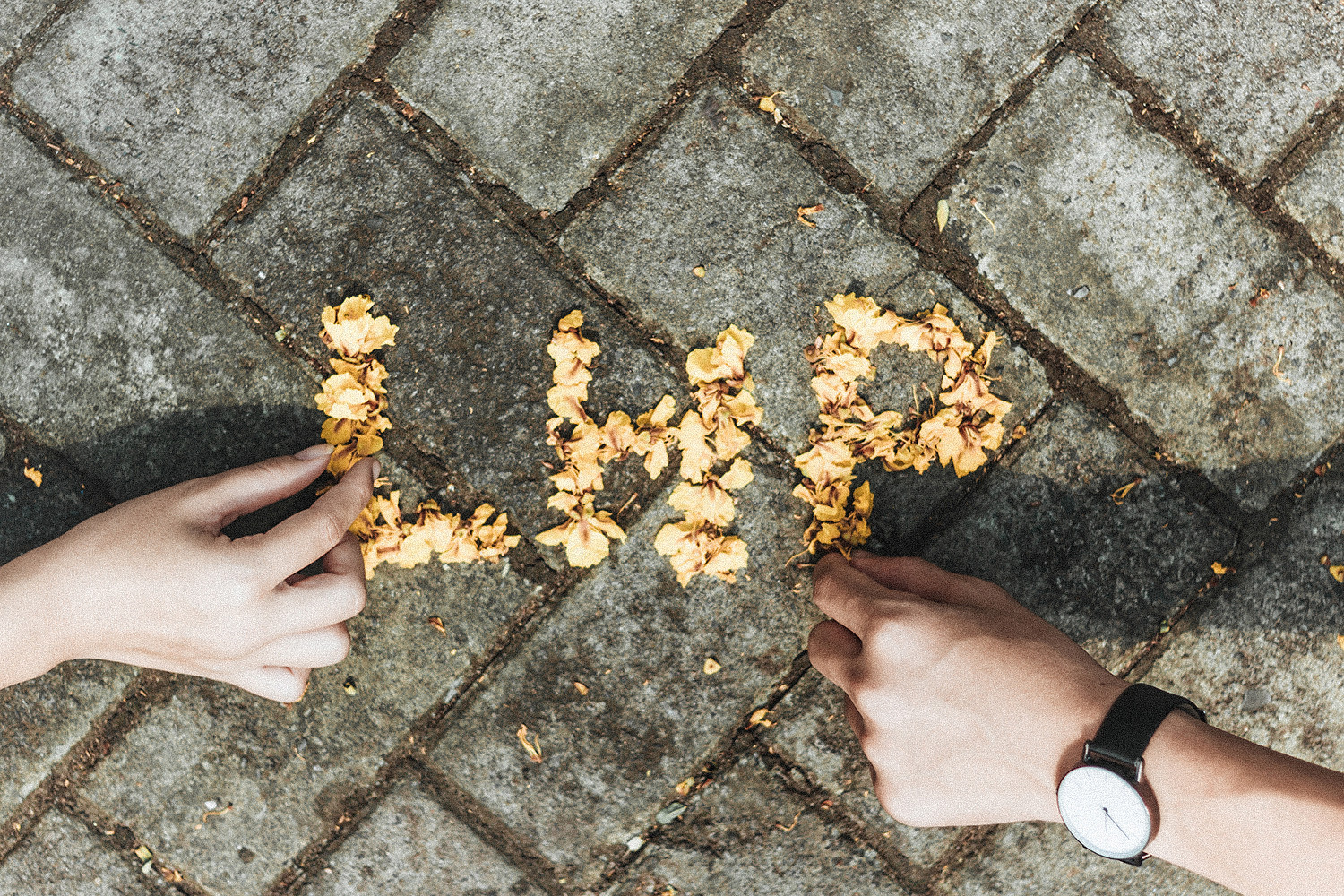 THPT chuyên Lê Hồng Phong (TP.HCM): Hành trình của 1.000 ngày hạnh phúc ảnh 6