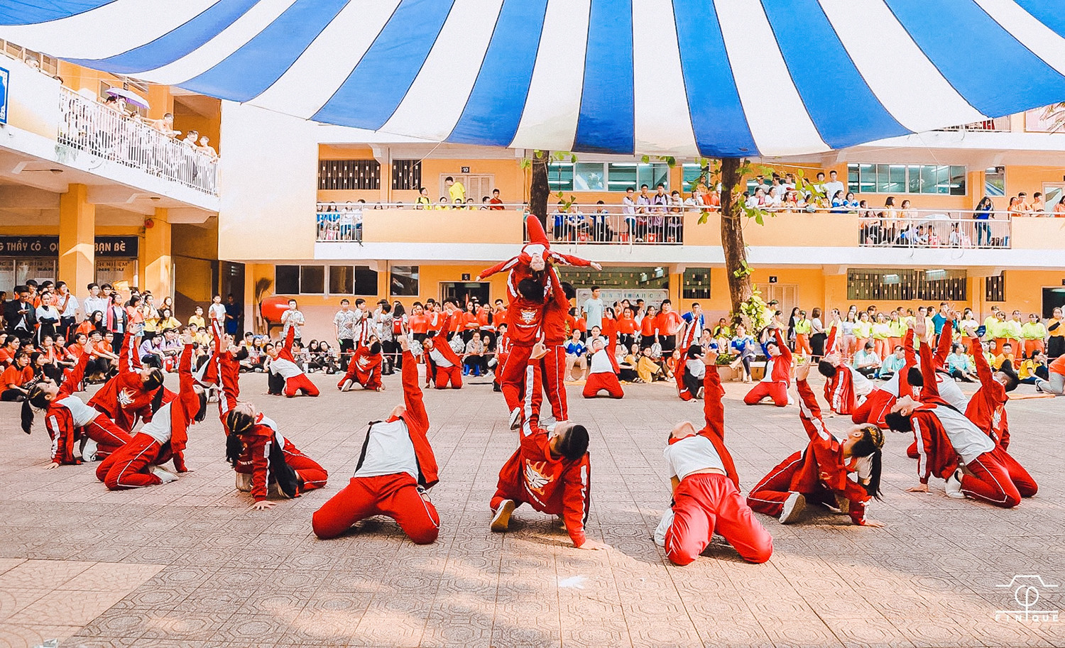 Ngôi trường trong mơ THPT Nguyễn Thượng Hiền (TP.HCM): Nắng Thượng Hiền - Nhớ thương hoài ảnh 3