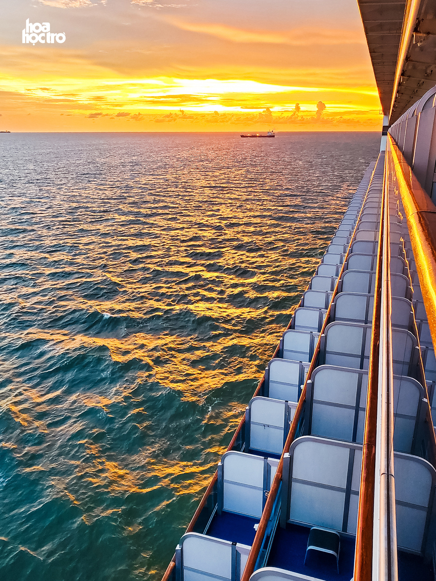 Hải trình sóng gió của chàng trai Việt mắc kẹt đã 6 tháng trên tàu viễn dương vì COVID-19 ảnh 4