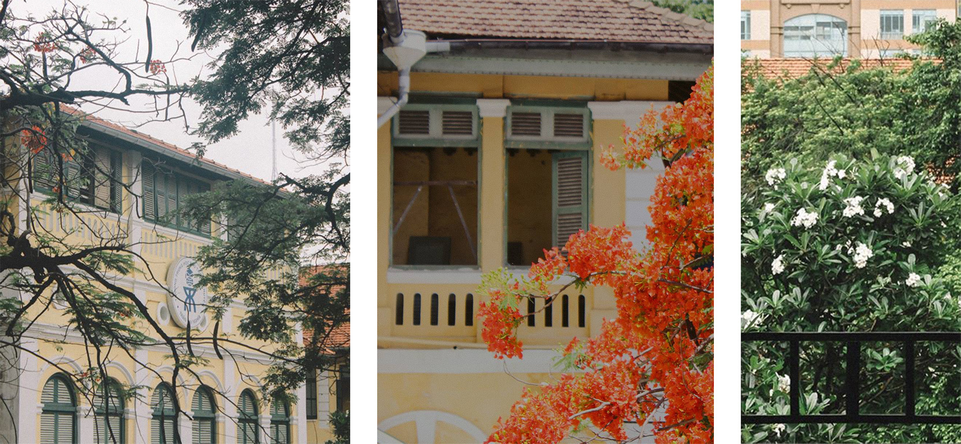 Ngôi trường trong mơ: Những ô cửa sổ sắc màu của trường THPT Chuyên Trần Đại Nghĩa ảnh 4