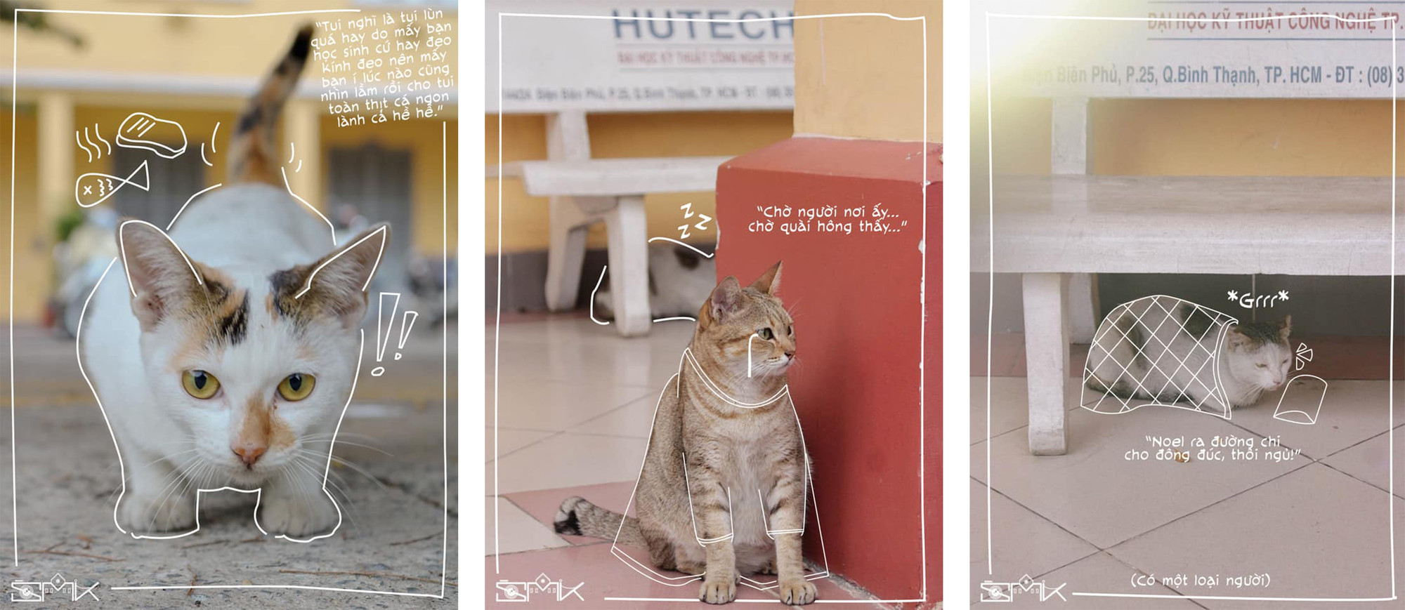 Ngôi trường trong mơ: THPT Nguyễn Thị Minh Khai - Ai rồi cũng sẽ nhớ thương! ảnh 12