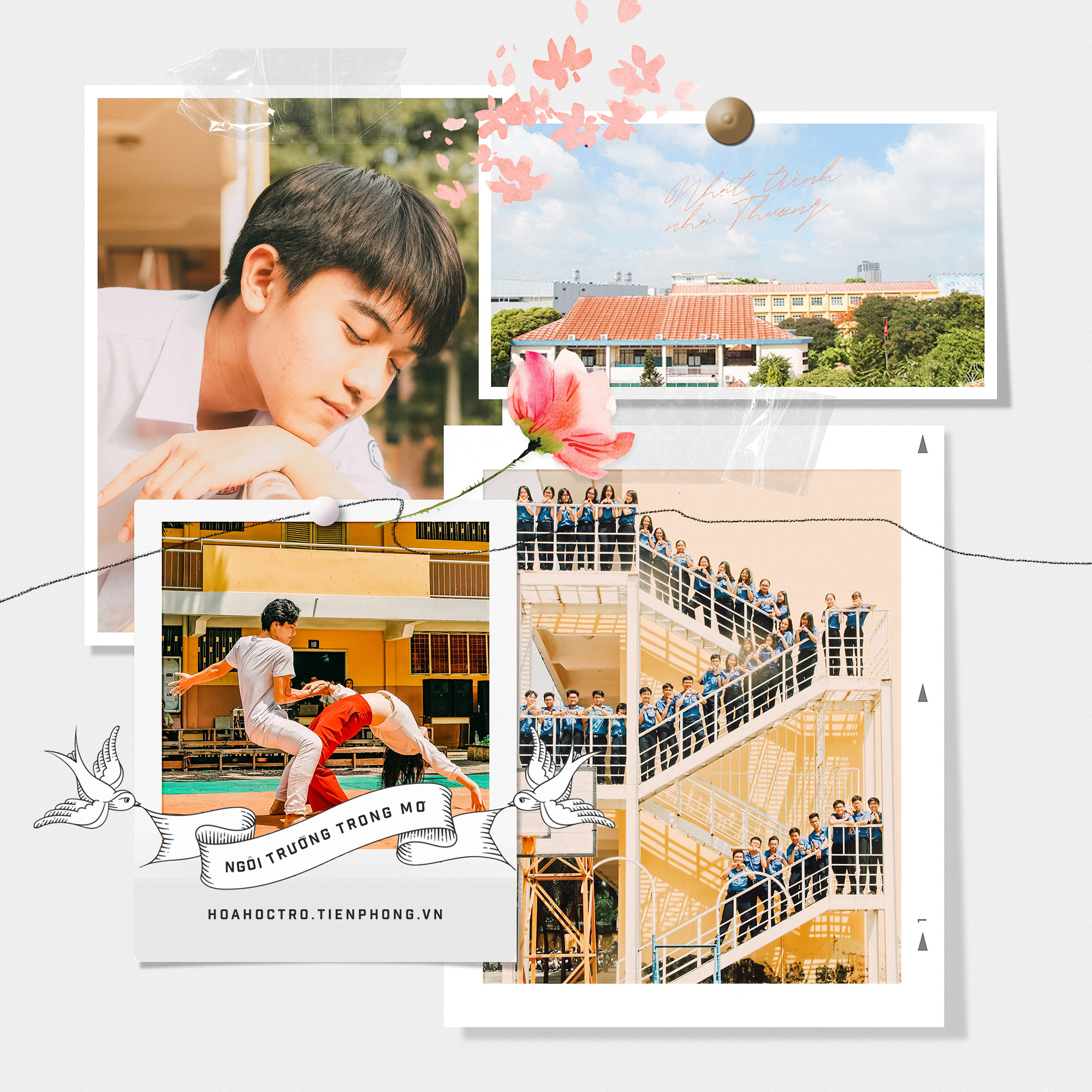 Ngôi trường trong mơ THPT Nguyễn Thượng Hiền (TP.HCM): Nắng Thượng Hiền - Nhớ thương hoài ảnh 10