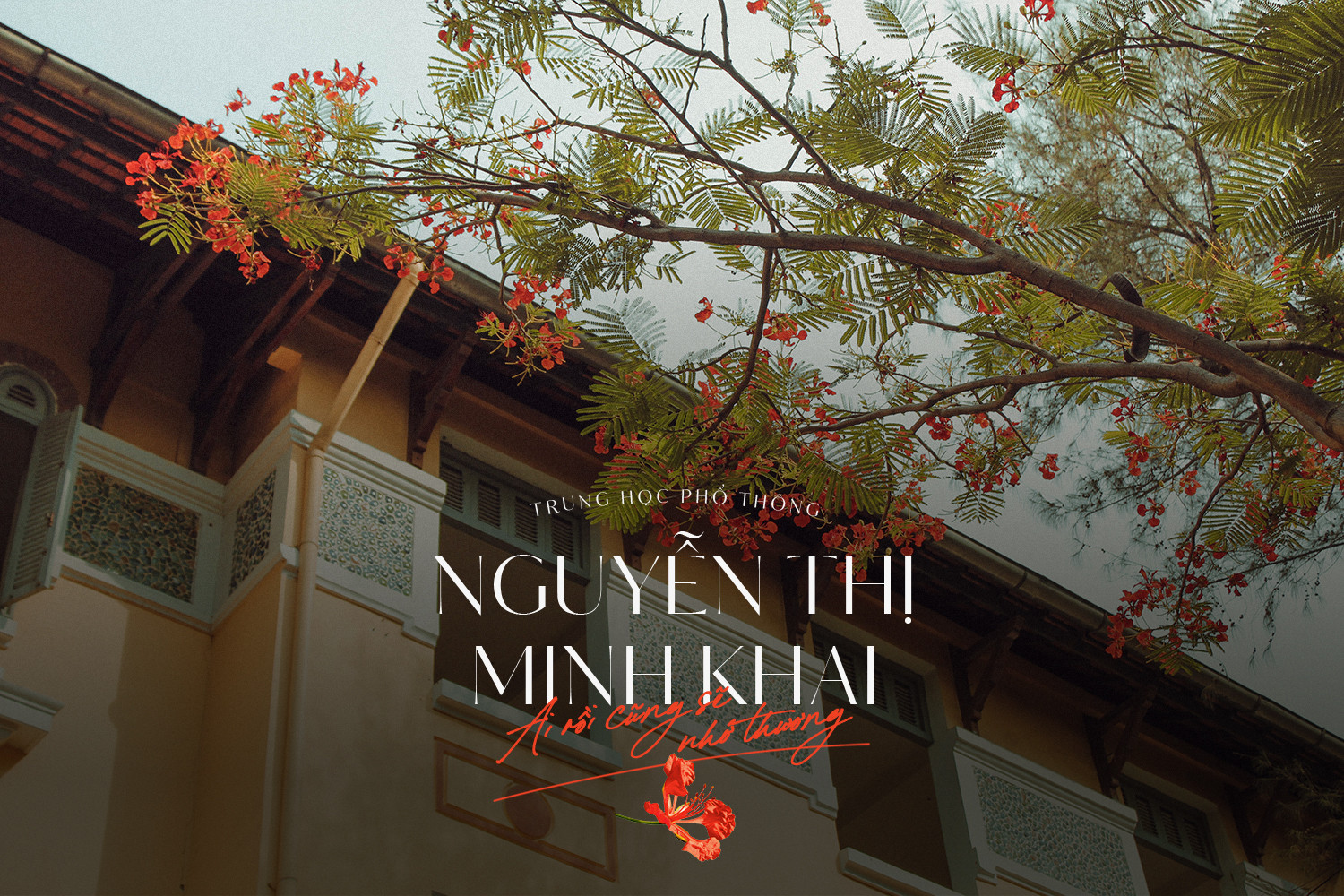 Ngôi trường trong mơ: THPT Nguyễn Thị Minh Khai - Ai rồi cũng sẽ nhớ thương! ảnh 13