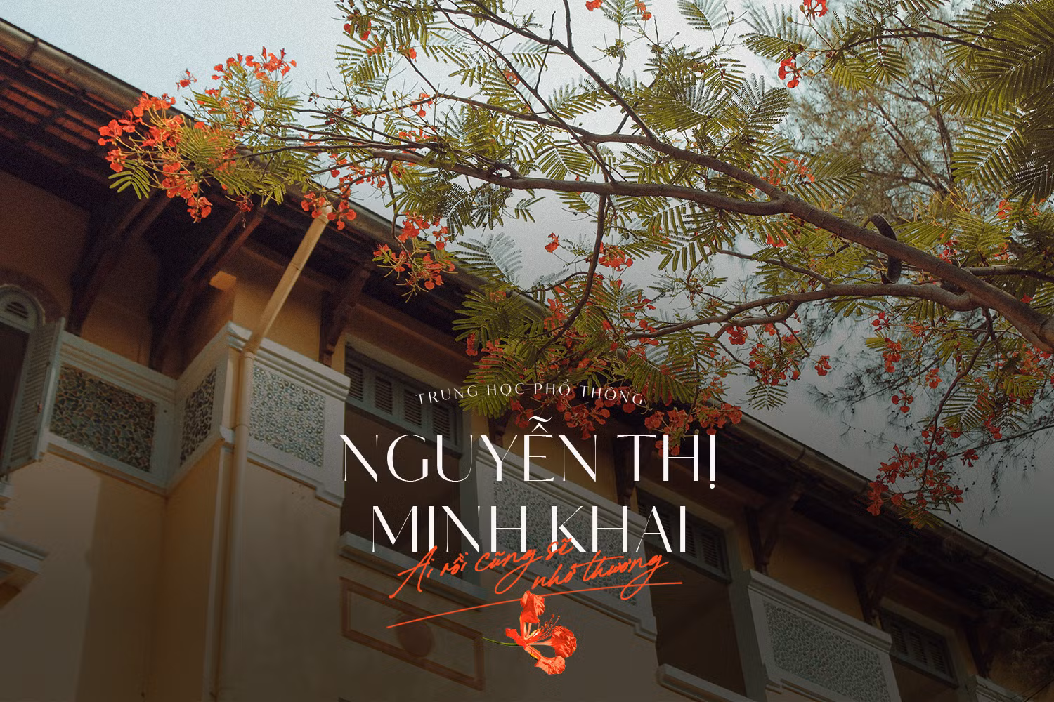 Ngôi trường trong mơ: THPT Nguyễn Thị Minh Khai - Ai rồi cũng sẽ nhớ thương! ảnh 13