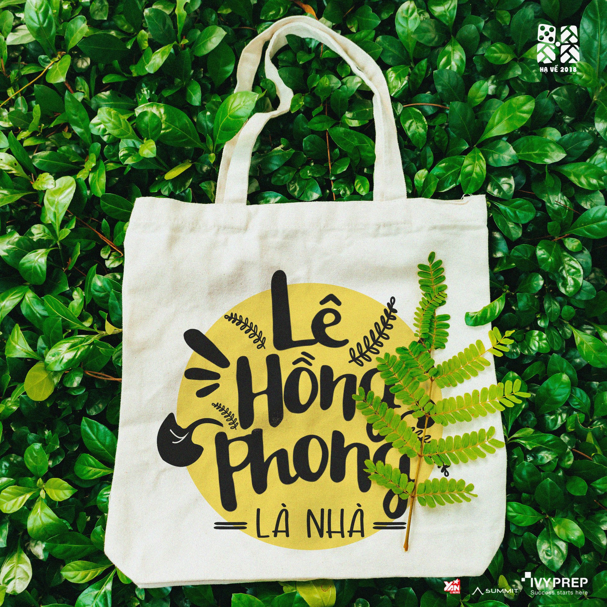 THPT chuyên Lê Hồng Phong (TP.HCM): Hành trình của 1.000 ngày hạnh phúc ảnh 10