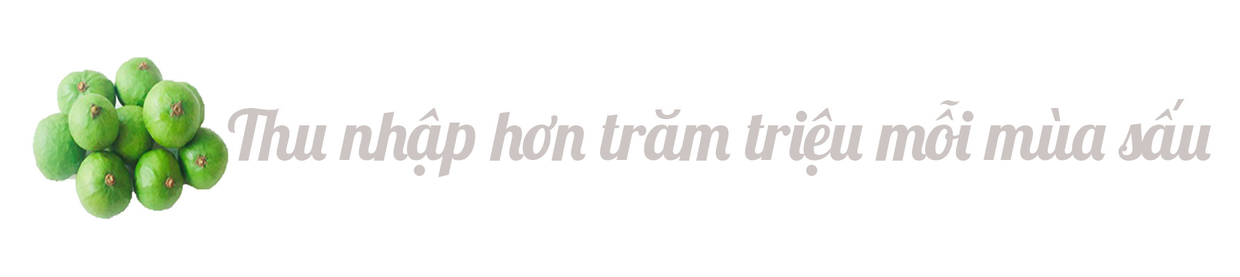 Thợ trèo sấu Hà thành thu nhập trăm triệu mỗi vụ ảnh 4