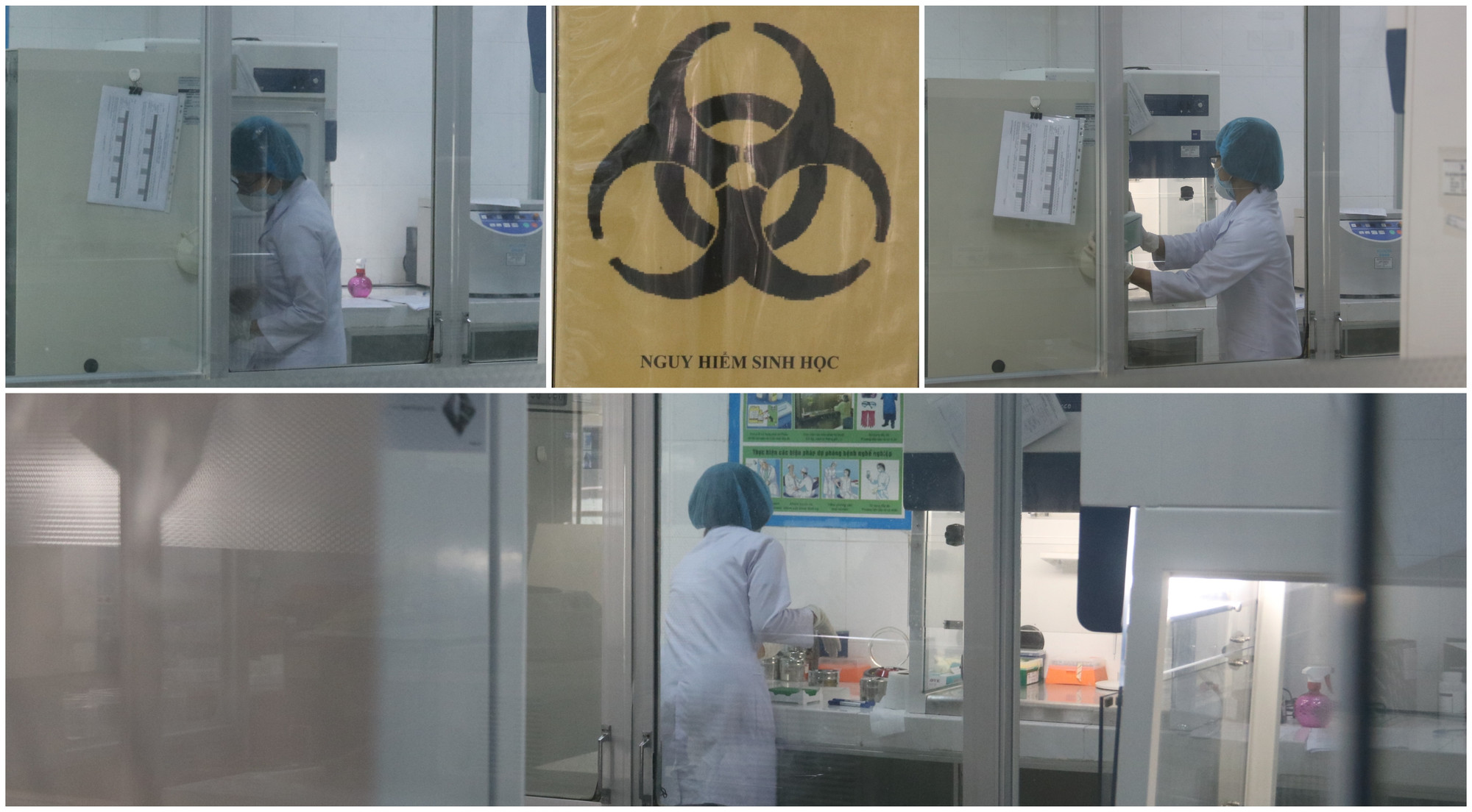 Những người ngày đêm tìm virus SARS-CoV-2 ảnh 5