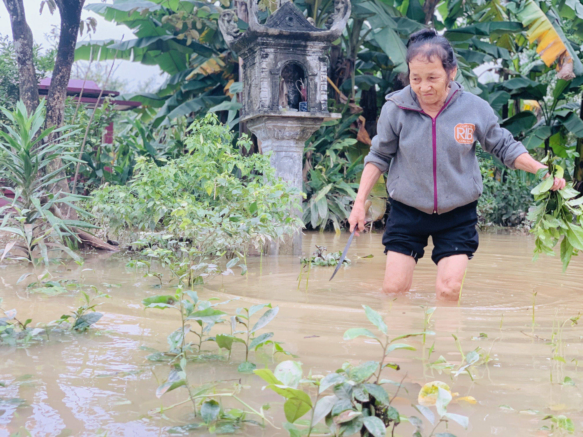 Cuộc sống nơi 'tâm lũ' Hà Tĩnh ảnh 5