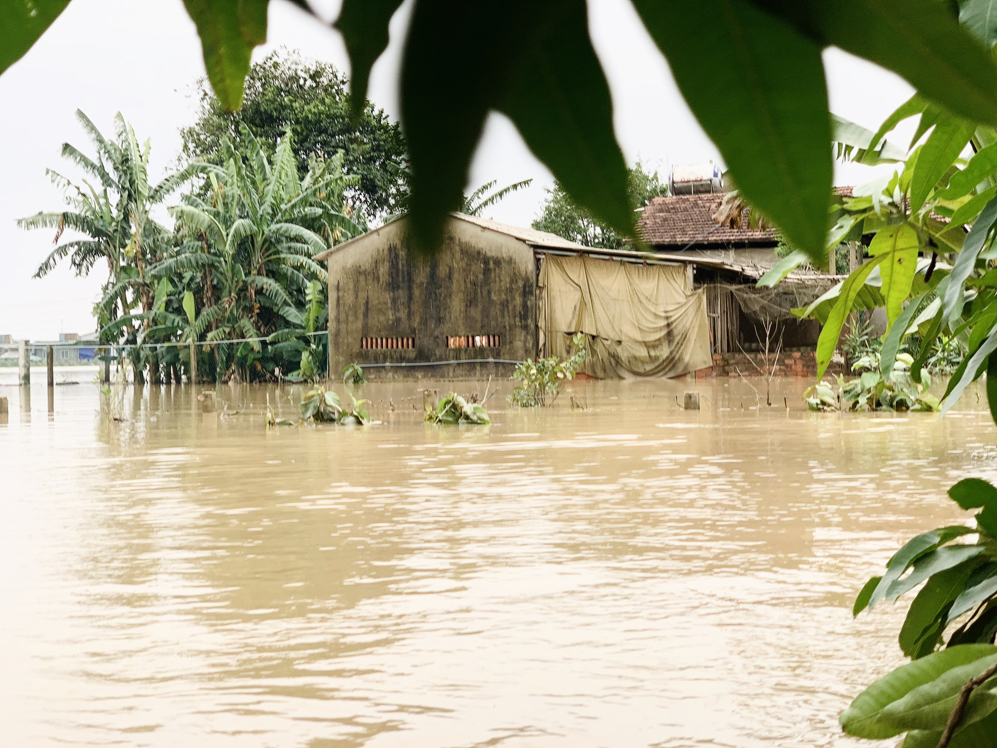 Cuộc sống nơi 'tâm lũ' Hà Tĩnh ảnh 9