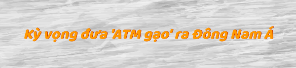 Cha đẻ bật mí về 'ATM gạo' và ước mơ xuất ngoại ảnh 16