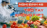 Hoả tốc đề nghị 3 bộ gỡ vướng hơn nghìn container nông sản ùn tắc