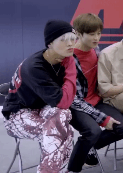 Khó tin mà có thật: Một con gián bỗng dưng nổi tiếng nhờ liên quan tới SM Ent ảnh 2