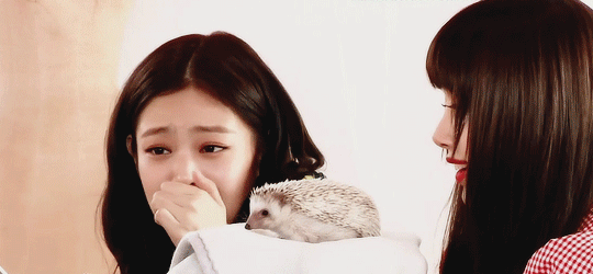 Nhìn lạnh lùng sang chảnh vậy thôi chứ Jennie chính là thánh nhút nhát của BLACKPINK ảnh 3