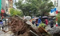 Hà Nội: Cây xà cừ cổ thụ đổ đè bẹp 2 ô tô trên phố Trung Kính