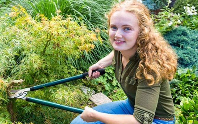 Đang buồn chán ư? Hãy chọn một trong số 50 việc để bạn làm ngay lập tức này!