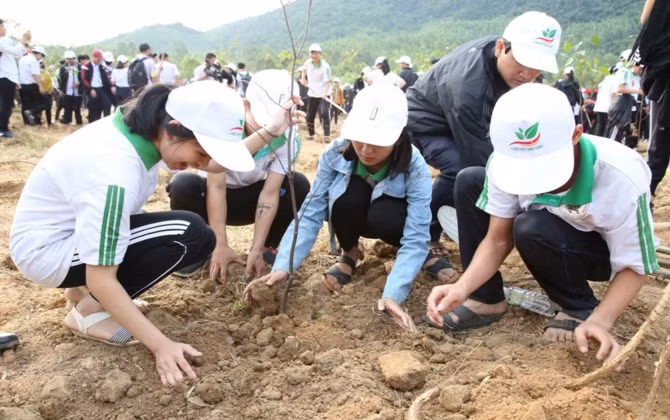 Hơn 300 vận động viên tham gia giải chạy "Vì một Việt Nam xanh"