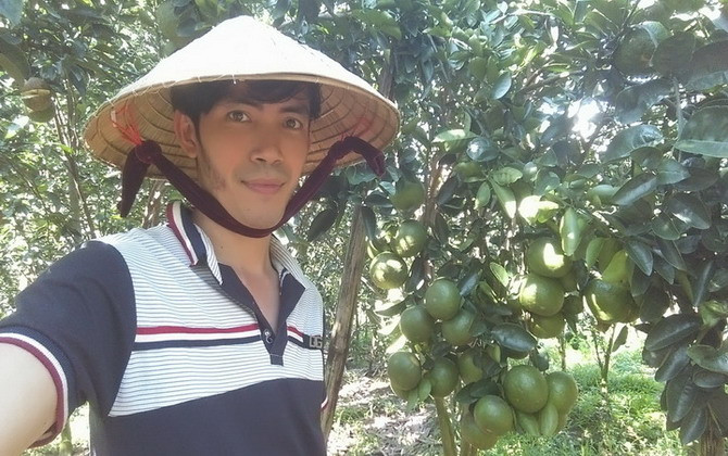 Bỏ phố về quê trồng cam sành