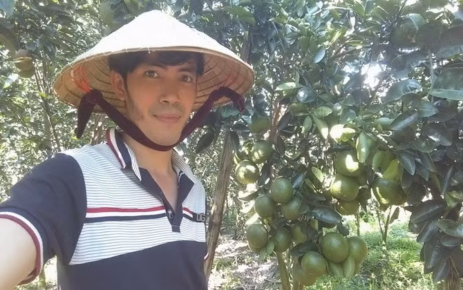 Bỏ phố về quê trồng cam sành