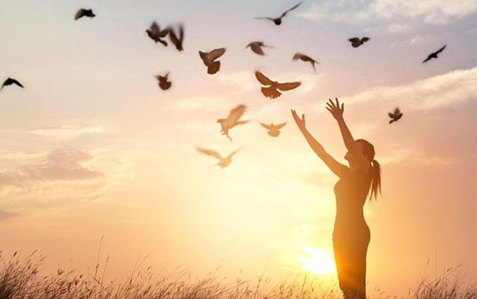 Hãy sống và làm việc như loài ngỗng trời