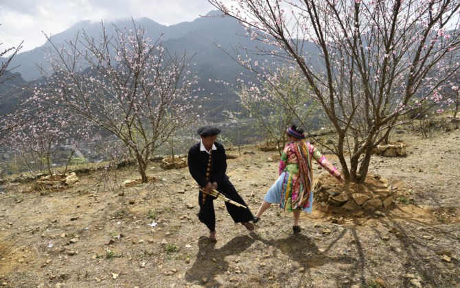 Xuân về cùng sắc hoa đào