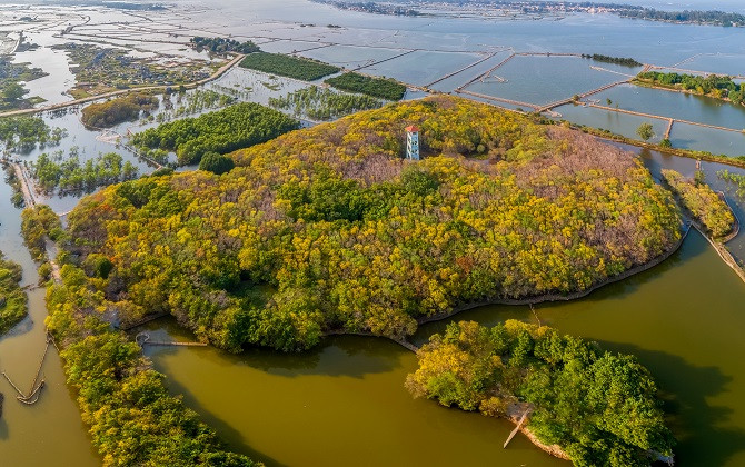 Du Xuân trên sóng nước đầm phá