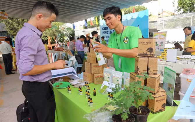 Cần "đất" tốt cho "hạt giống" khởi nghiệp "nảy mầm"