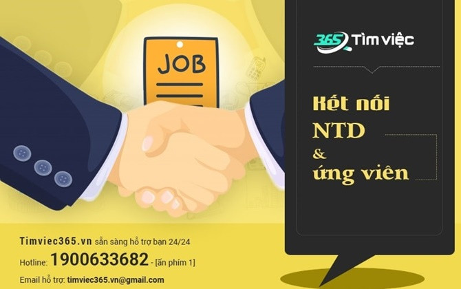 Timviec365.vn - Website tìm việc hiệu quả nhất